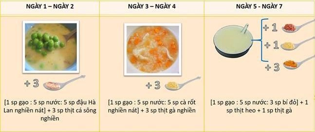 Thực đơn ăn dặm 9 tuần đầu chuẩn cho bé theo hướng dẫn của chuyên gia việt ở anh quốc - 8