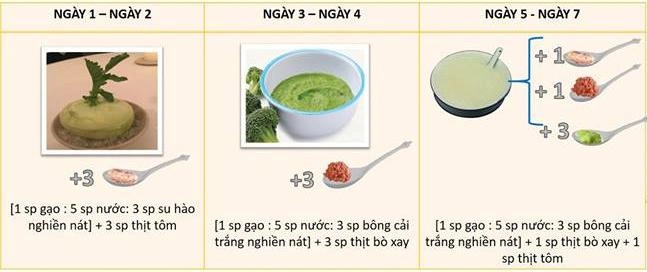 Thực đơn ăn dặm 9 tuần đầu chuẩn cho bé theo hướng dẫn của chuyên gia việt ở anh quốc - 9