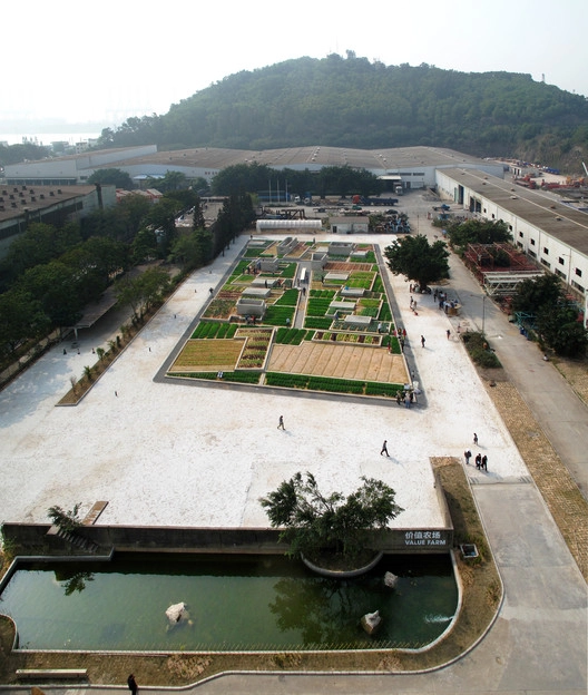 Tq vườn rau sạch 2000m cho cư dân thành phố tự trồng - 1