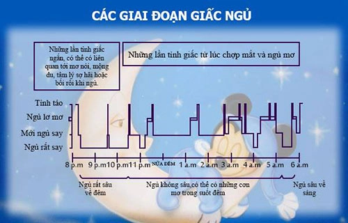 Trẻ sơ sinh 1 tháng tuổi ngủ mấy tiếng một ngày là bình thường - 2