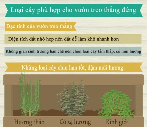 Trồng giò treo đơn giản cho nhà chật tỏa mát - 1