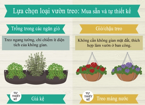 Trồng giò treo đơn giản cho nhà chật tỏa mát - 3