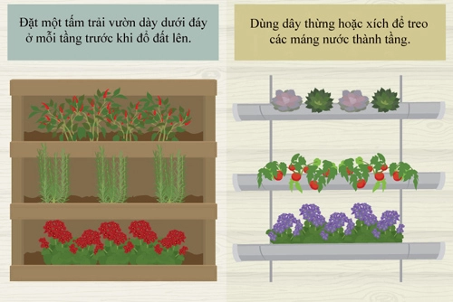 Trồng giò treo đơn giản cho nhà chật tỏa mát - 4