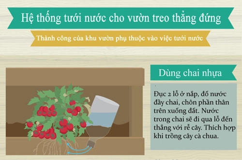 Trồng giò treo đơn giản cho nhà chật tỏa mát - 5