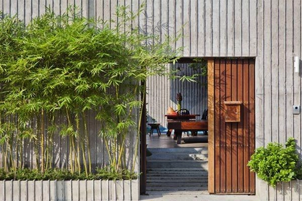 Trồng ngay 10 loại cây phong thủy trước nhà này gia chủ sẽ may mắn phát tài cả năm - 2