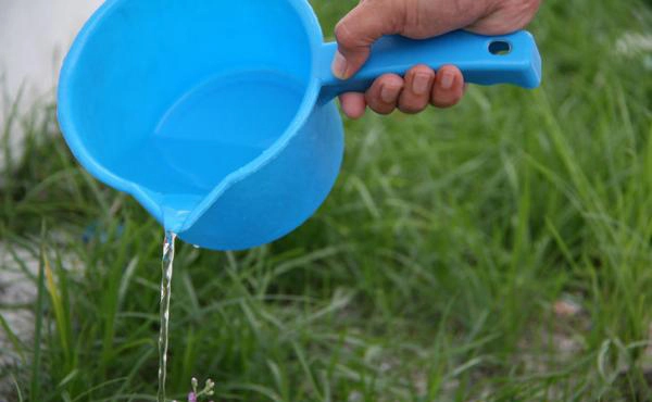 Vô vàn công dụng không ngờ của nước rửa bát mà chắc chắn bạn không biết hết - 4