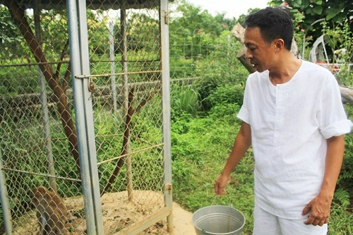 Vườn rau sạch mướt mắt trong căn biệt thự 2000m2 của ca sĩ việt hoàn - 3