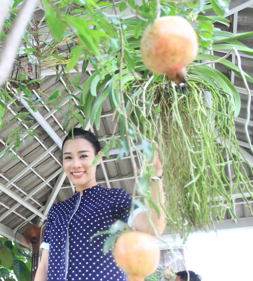 Vườn rau sạch mướt mắt trong căn biệt thự 2000m2 của ca sĩ việt hoàn - 11