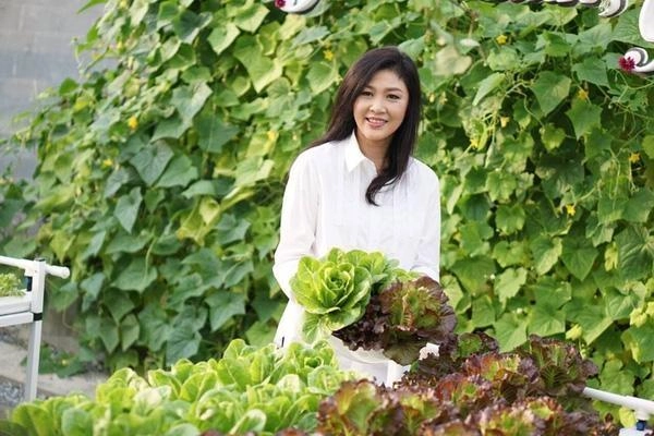 Vườn rau xanh của nữ chính khách tài sắc vẹn toàn - 12