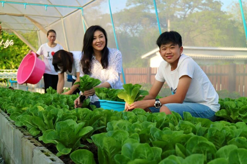 Vườn rau xanh của nữ chính khách tài sắc vẹn toàn - 14