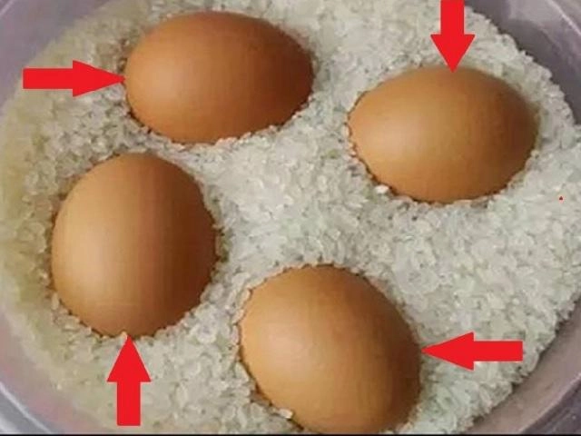 Âm thầm vùi nắm muối vào thùng gạo vợ hốt hoảng gọi chồng ra xem thành quả - 4