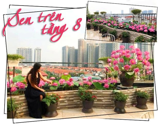 Cách trồng mướp trong thùng xốp cho quả vừa to vừa dài gấp 3 trồng mặt đất - 5