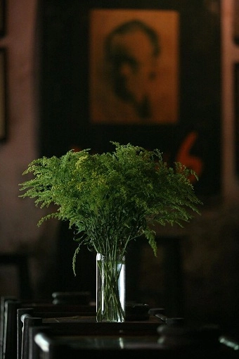 Cafe cuối ngõ không gian mộc mạc giữa hn - 16