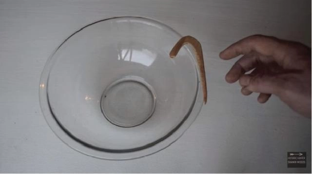 Chỉ cần úp ngược chiếc bát cũ bạn đã có ngay bẫy chuột vừa tiện vừa rẻ bèo - 1