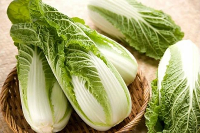 Chi tiết cách trồng rau cải thảo trong thùng xốp lớn nhanh như thổi ăn suốt mùa đông - 1