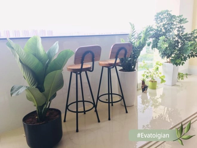 Chuyển nhà 4 lần vợ chồng hà nội quyết vứt bỏ tất cả làm nên điều bất ngờ - 8