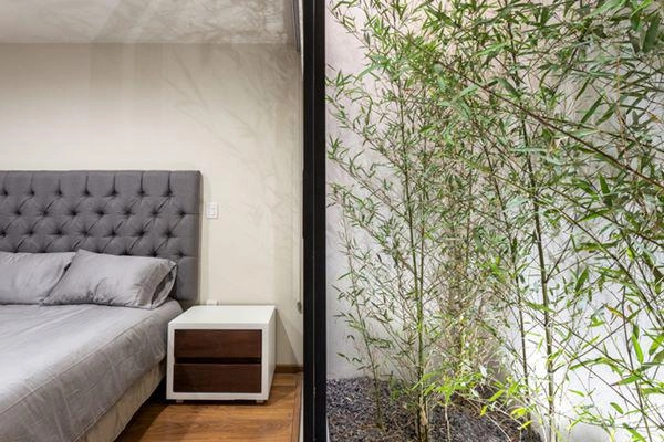 Đã mắt với ngôi nhà như resort không gian tràn ngập ánh sáng - 15
