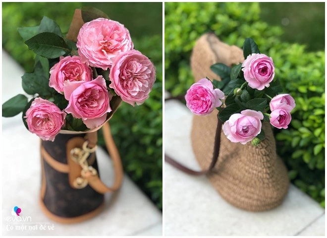 Lấy hết tiền mẹ giao mua thức ăn 8x hn mua hoa cắm tràn ngập nhà nào ngờ cái kết - 11
