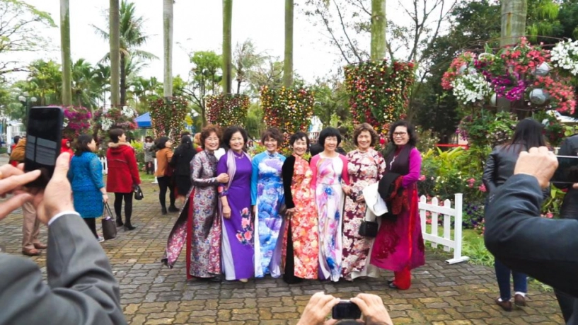Lễ hội hoa hồng 2018 không còn hoa giả nhưng vẫn có nhiều cây hoa trăm triệu héo úa - 3