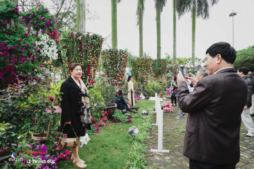 Lễ hội hoa hồng 2018 không còn hoa giả nhưng vẫn có nhiều cây hoa trăm triệu héo úa - 9