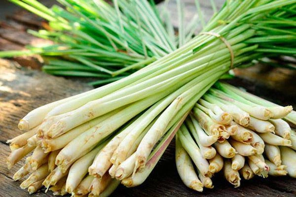 Mẹ chồng âm thầm đặt tỏi vào chỗ này con dâu bất ngờ thấy điều lạ sau 1 đêm - 1