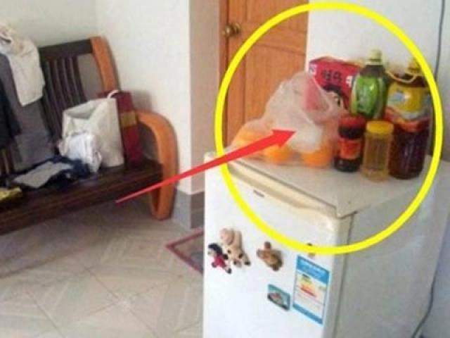 Mẹ chồng mang than củi bỏ vào tủ lạnh con dâu tính mở vứt đi thì thấy điều kì diệu - 4