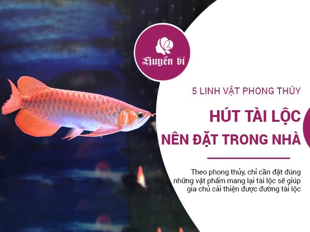 Mệnh kim hợp màu gì sẽ đem lại nhiều may mắn - 5