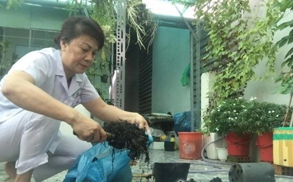 Nhà mặt phố con thành đạt nsưt hương dung vẫn tự tay trồng cây sân thượng như thế này - 2