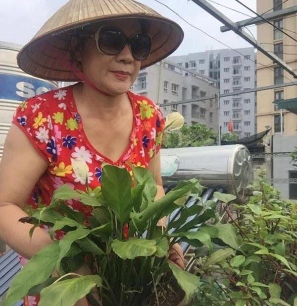 Nhà mặt phố con thành đạt nsưt hương dung vẫn tự tay trồng cây sân thượng như thế này - 3
