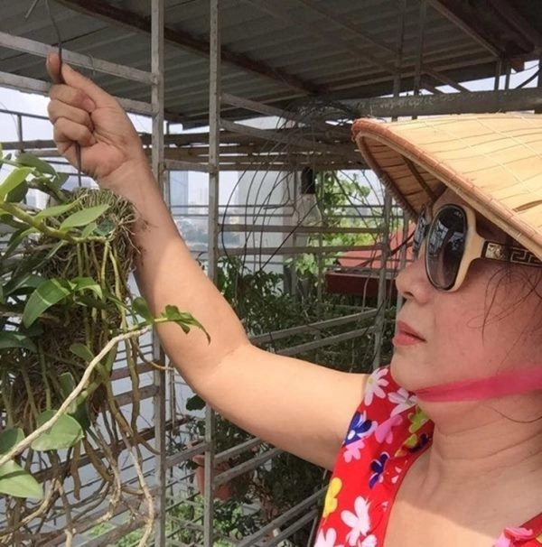 Nhà mặt phố con thành đạt nsưt hương dung vẫn tự tay trồng cây sân thượng như thế này - 4