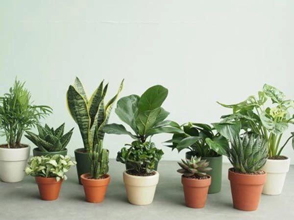 Những lỗi phong thủy đuổi thần tài ra khỏi ngõ làm ăn thất bại quanh năm nợ nần - 1