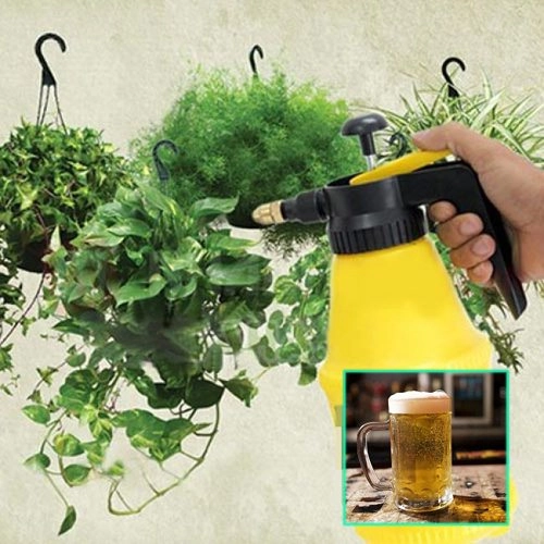 Thực hư việc dùng bia tưới cho cây trồng cho năng suất cao và cây phát triển khỏe mạnh - 2