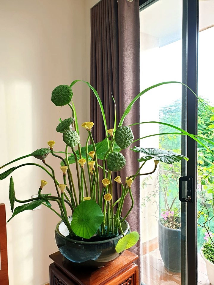 Thương mẹ nuôi 13 con cả đời vất vả con gái u60 ngày ngày cắm hoa để mẹ ngắm chơi - 2