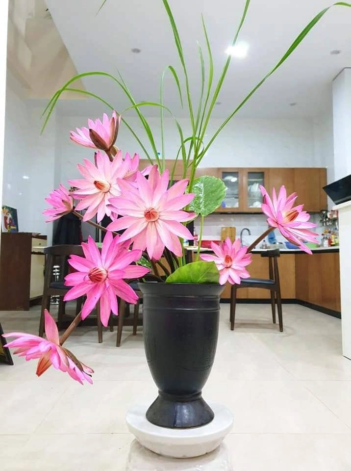 Thương mẹ nuôi 13 con cả đời vất vả con gái u60 ngày ngày cắm hoa để mẹ ngắm chơi - 3