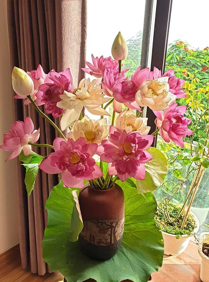 Thương mẹ nuôi 13 con cả đời vất vả con gái u60 ngày ngày cắm hoa để mẹ ngắm chơi - 10