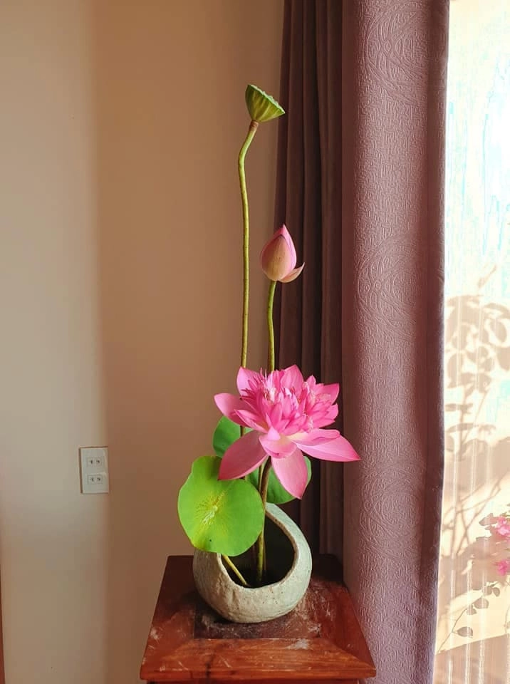 Thương mẹ nuôi 13 con cả đời vất vả con gái u60 ngày ngày cắm hoa để mẹ ngắm chơi - 11