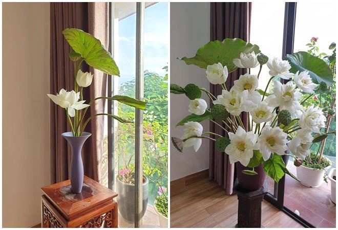 Thương mẹ nuôi 13 con cả đời vất vả con gái u60 ngày ngày cắm hoa để mẹ ngắm chơi - 15