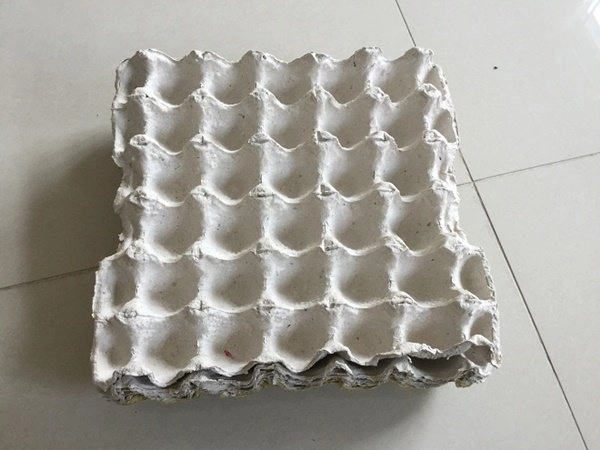 Trồng hành không cần đất cây tốt vù vù cả nhà hái mỏi tay - 2