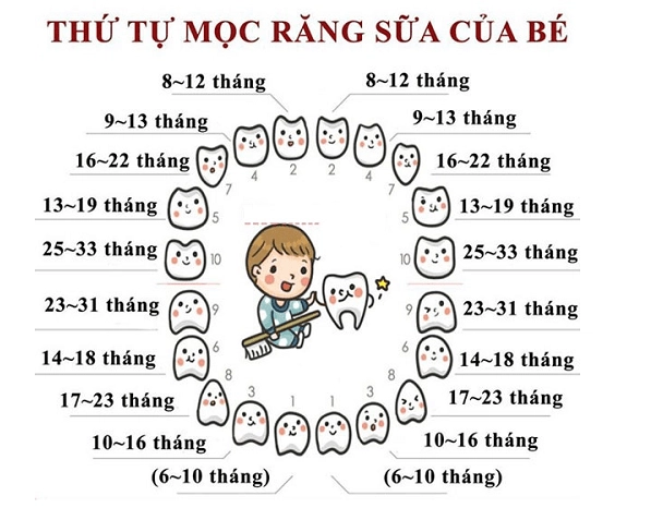 9 dấu hiệu trẻ mọc răng và cách làm giảm khó chịu cho bé - 1