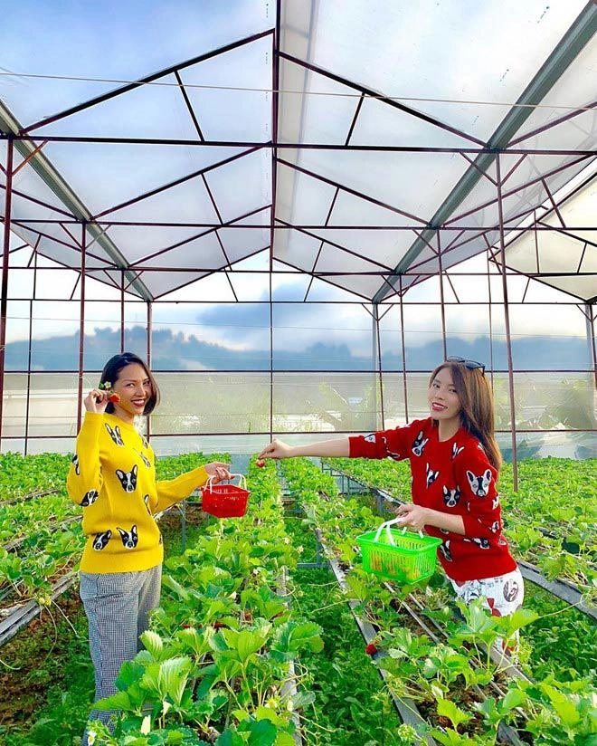 Không chỉ dính nghi vấn cặp kè đôi bạn kỳ duyên minh triệu còn mua phụ kiện diện cùng - 3