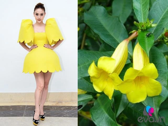 Mặc chiếc váy lạ minh hằng bị ví nhưbông hoa dại - 2