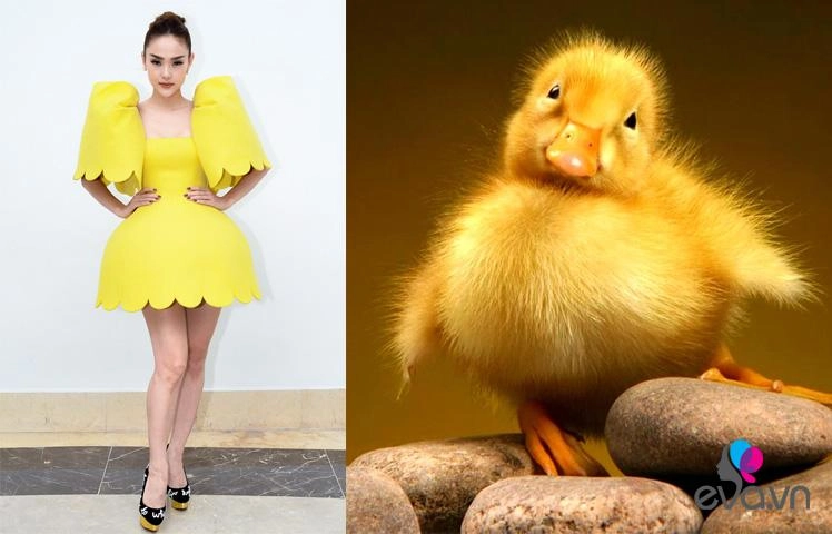 Mặc chiếc váy lạ minh hằng bị ví nhưbông hoa dại - 4