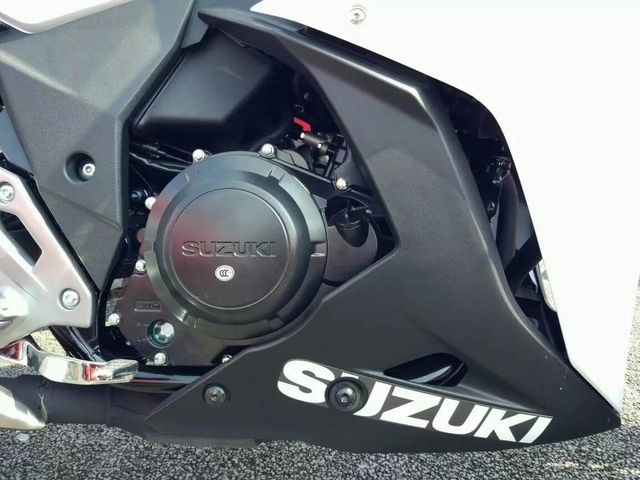 Suzuki gsx-250r chính thức ra mắt với thiết kế đầy ấn tượng - 6