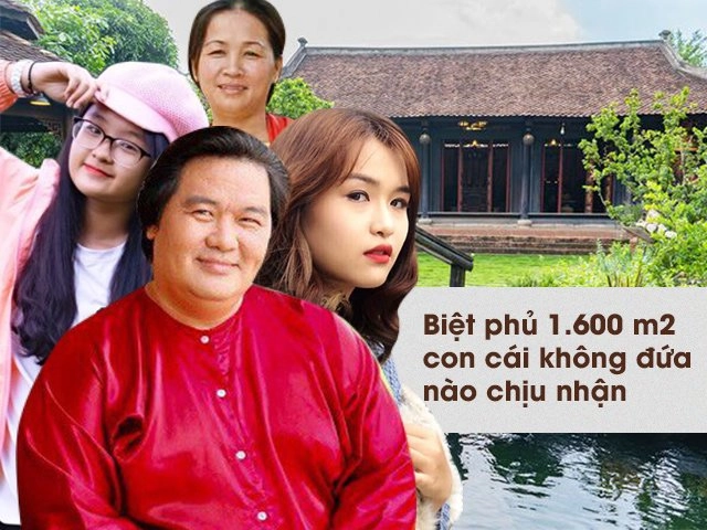 Vợ đại gia 2 lần bầu không cho đi khám thai cùng ngày đẻ hoàng mập lặng nhìn mặt con - 12