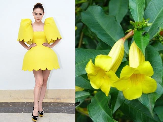 Từ ngày làm hlv the face minh hằng chăm chỉ khoe eo fans xuýt xoa vì thấy cả múi - 15