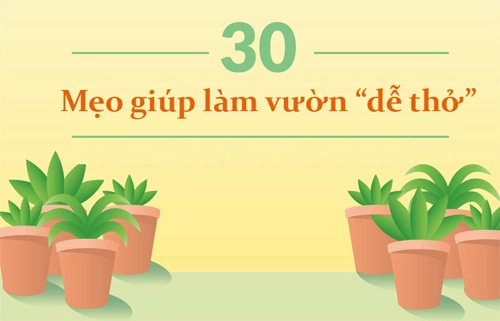 30 mẹo vặt giúp bạn làm vườn dễ thở hơn phần 1 - 1