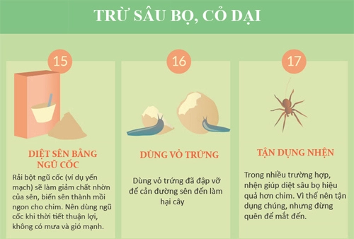 30 mẹo vặt giúp bạn làm vườn dễ thở hơn phần 2 - 1