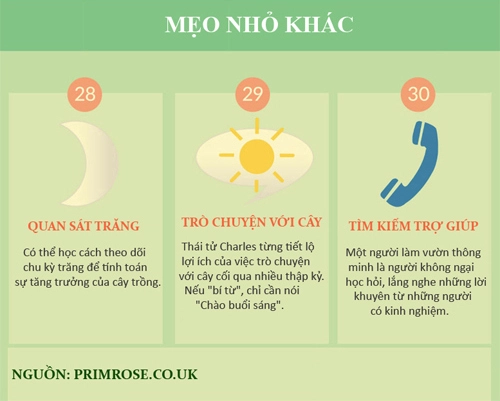 30 mẹo vặt giúp bạn làm vườn dễ thở hơn phần 2 - 5