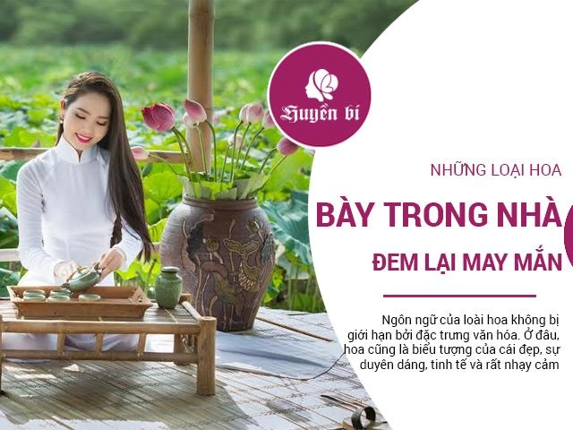 5 loại hoa đẹp bày phòng khách không sớm thì muộn kiểu gì cũng giàu - 5