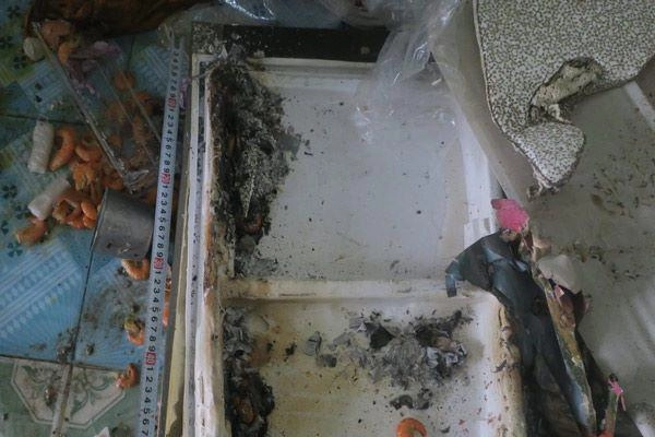 6 dấu hiệu báo trước tủ lạnh sắp nổ tung như bom hẹn giờ chớ dại bỏ qua - 4